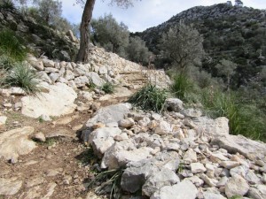 IMG_4534 (Medium)